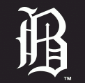 Birmingham Barons 1981-2007 Cap Logo decal sticker