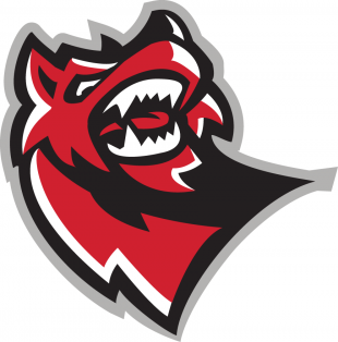 Huntsville Havoc 2007 08-Pres Secondary Logo decal sticker