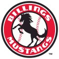 Billings Mustangs 2006-Pres Primary Logo decal sticker
