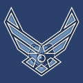 Airforce Memphis Grizzlies Logo Sticker Heat Transfer