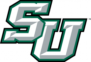 Stetson Hatters 2008-2017 Alternate Logo decal sticker