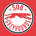 Sault Ste. Marie Greyhounds 1998 99-2008 09 Alternate Logo Sticker Heat Transfer