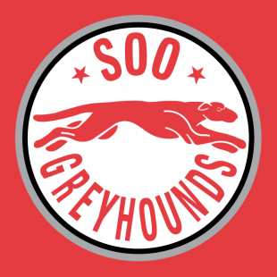 Sault Ste. Marie Greyhounds 1998 99-2008 09 Alternate Logo decal sticker