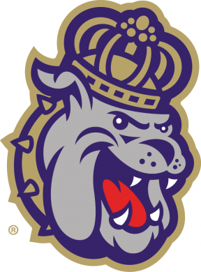 James Madison Dukes 2017-Pres Secondary Logo 02 decal sticker