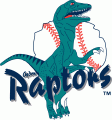 Ogden Raptors 2001-2014 Primary Logo decal sticker