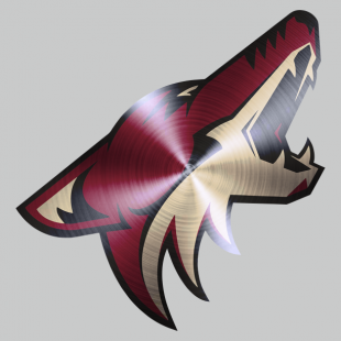 Arizona Coyotes Stainless steel logo Sticker Heat Transfer