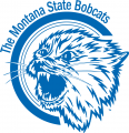 Montana State Bobcats 1960-1978 Alternate Logo 01 Sticker Heat Transfer