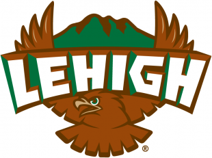 Lehigh Mountain Hawks 1996-2003 Primary Logo Sticker Heat Transfer