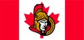 Ottawa Senators Flag001 logo decal sticker
