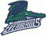 Florida Everblades 2007 08-Pres Primary Logo decal sticker