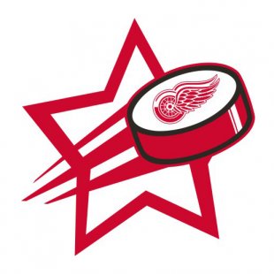 Detroit Red Wings Hockey Goal Star logo decal sticker