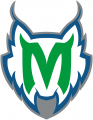 Minnesota Lynx 1999-2017 Alternate Logo Sticker Heat Transfer