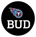 Tennessee Titans 2013 Memorial Logo Sticker Heat Transfer