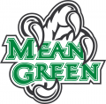 North Texas Mean Green 2005-Pres Alternate Logo 04 decal sticker