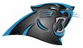 Carolina Panthers Plastic Effect Logo decal sticker