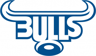 Bulls 1997-Pres Primary Logo Sticker Heat Transfer