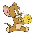 Tom and Jerry Logo 11