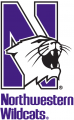 Northwestern Wildcats 1981-Pres Alternate Logo Sticker Heat Transfer