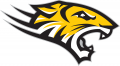 Towson Tigers 2004-Pres Alternate Logo 02 decal sticker