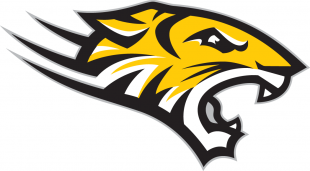 Towson Tigers 2004-Pres Alternate Logo 02 decal sticker
