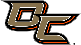 Anaheim Ducks 2013 14 Special Event Logo 02 decal sticker