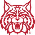 Arizona Wildcats 1990-Pres Secondary Logo 02 decal sticker