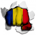 Fist Romania Flag Logo decal sticker