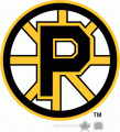 Providence Bruins 1995 96-2011 12 Primary Logo Sticker Heat Transfer