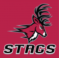 Fairfield Stags 2002-Pres Alternate Logo 04 decal sticker
