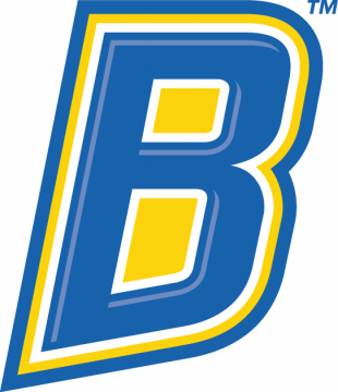 CSU Bakersfield Roadrunners 2006-Pres Alternate Logo 04 decal sticker