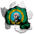 Fist Washington State Flag Logo decal sticker
