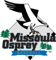 Missoula Osprey 1999-Pres Primary Logo decal sticker