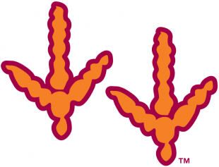 Virginia Tech Hokies 2000-Pres Alternate Logo 01 Sticker Heat Transfer