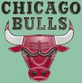 Chicago Bulls Plastic Effect Logo Sticker Heat Transfer