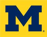 Michigan Wolverines 1996-Pres Alternate Logo 02 decal sticker
