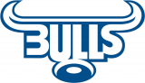 Bulls 1997-Pres Primary Logo decal sticker