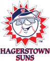 Hagerstown Suns 2013-Pres Primary Logo decal sticker