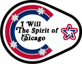 Chicago Blackhawks 1975 76 Special Event Logo Sticker Heat Transfer