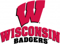 Wisconsin Badgers 2002-Pres Alternate Logo 03 decal sticker