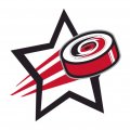 Carolina Hurricanes Hockey Goal Star logo Sticker Heat Transfer