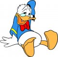Donald Duck Logo 14 Sticker Heat Transfer