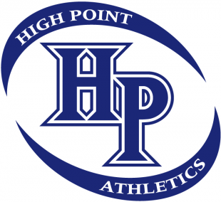 High Point Panthers 1996-2003 Alternate Logo Sticker Heat Transfer