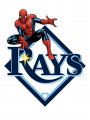 Tampa Bay Rays Spider Man Logo Sticker Heat Transfer