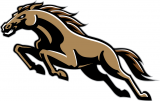 Western Michigan Broncos 1998-2015 Alternate Logo Sticker Heat Transfer