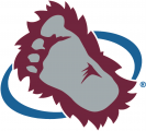 Colorado Avalanche 1999 00-2014 15 Secondary Logo Sticker Heat Transfer