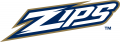 Akron Zips 2002-Pres Wordmark Logo 02 decal sticker