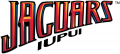 IUPUI Jaguars 2008-Pres Wordmark Logo Sticker Heat Transfer