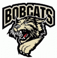 Bismarck Bobcats 2006 07-Pres Primary Logo decal sticker