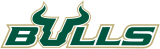 South Florida Bulls 2003-Pres Wordmark Logo Sticker Heat Transfer