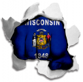 Fist Wisconsin State Flag Logo decal sticker